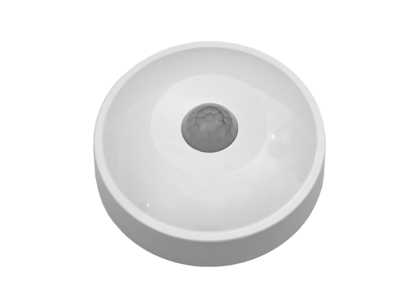 A10